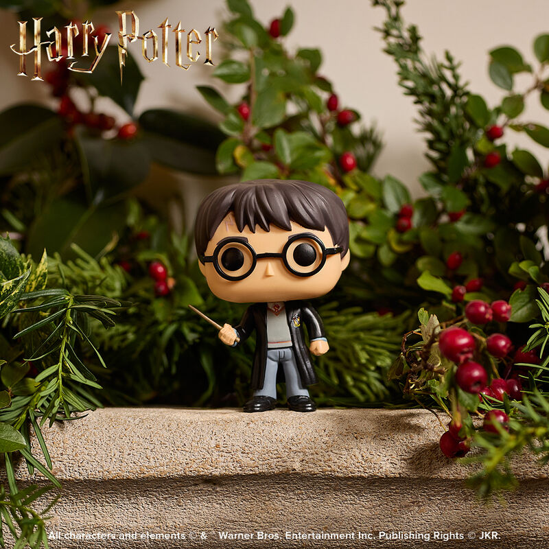 FUNKO POP- HARRY POTTER- HARRY POTTER