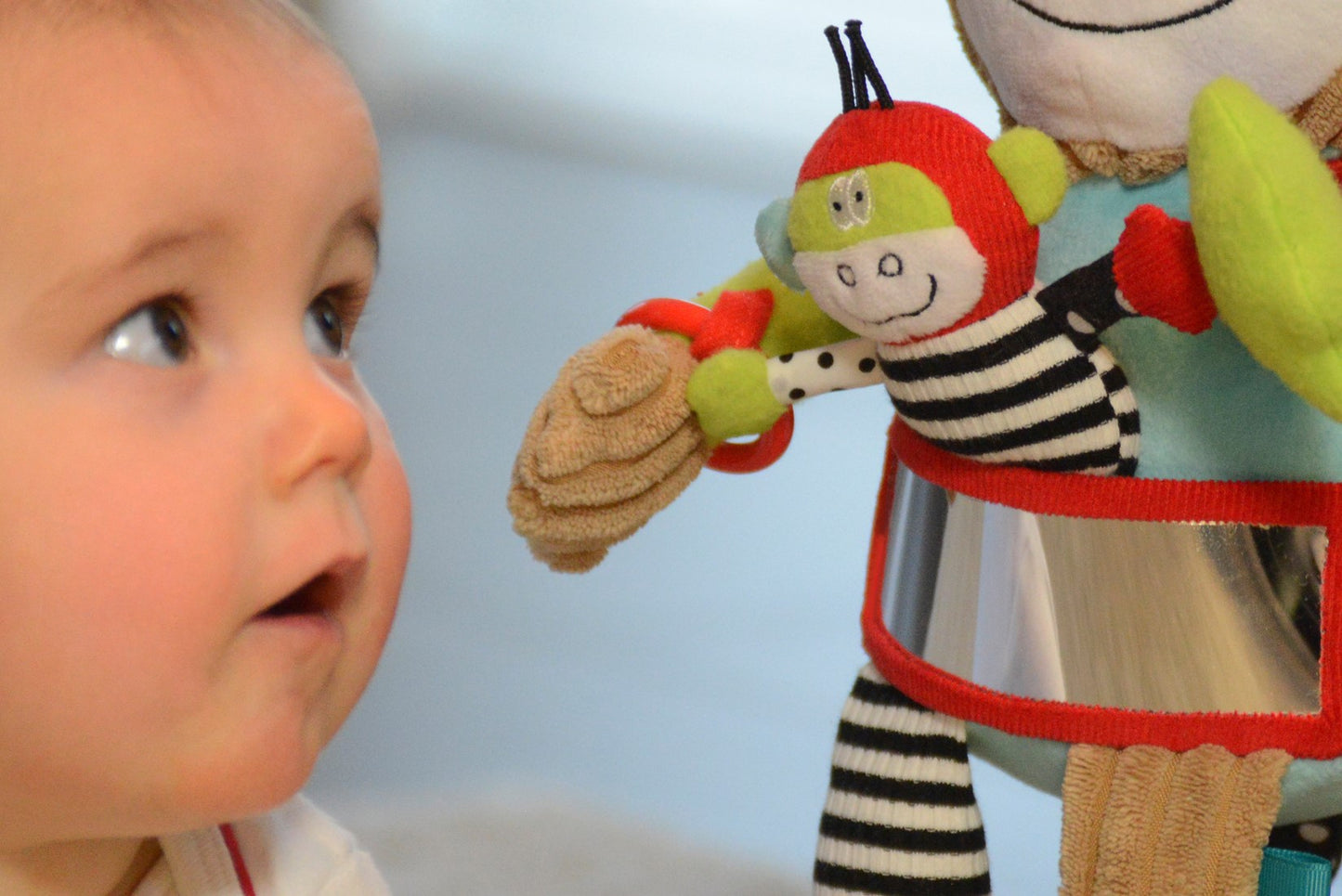Dolce - Play And Learn Monkey