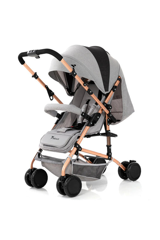 Teknum Reversible Trip Stroller Grey