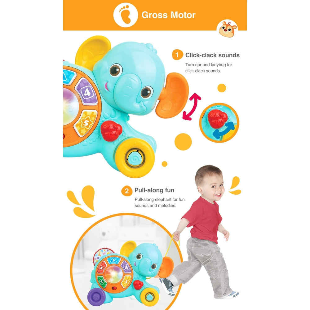 Winfun - My Pull Along Pal Elephant
