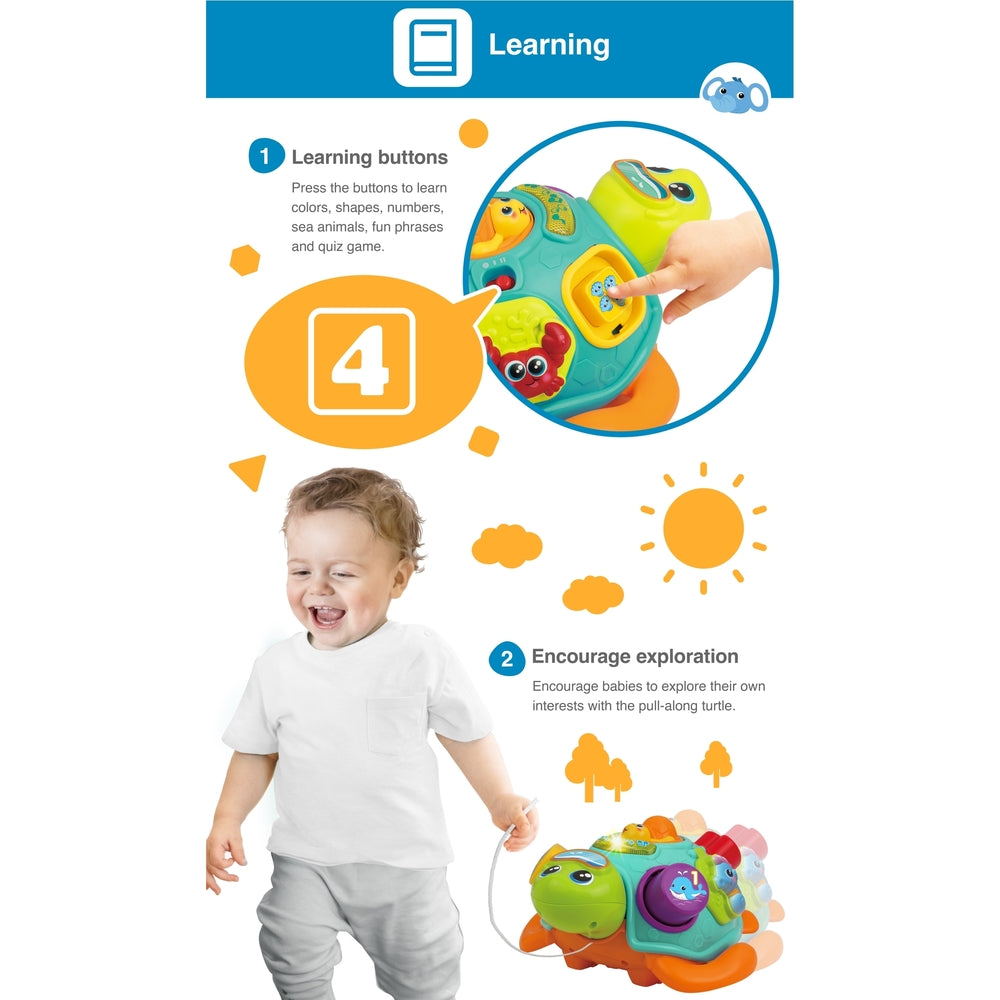 Winfun - Pull Along Sort N Learn Turtle