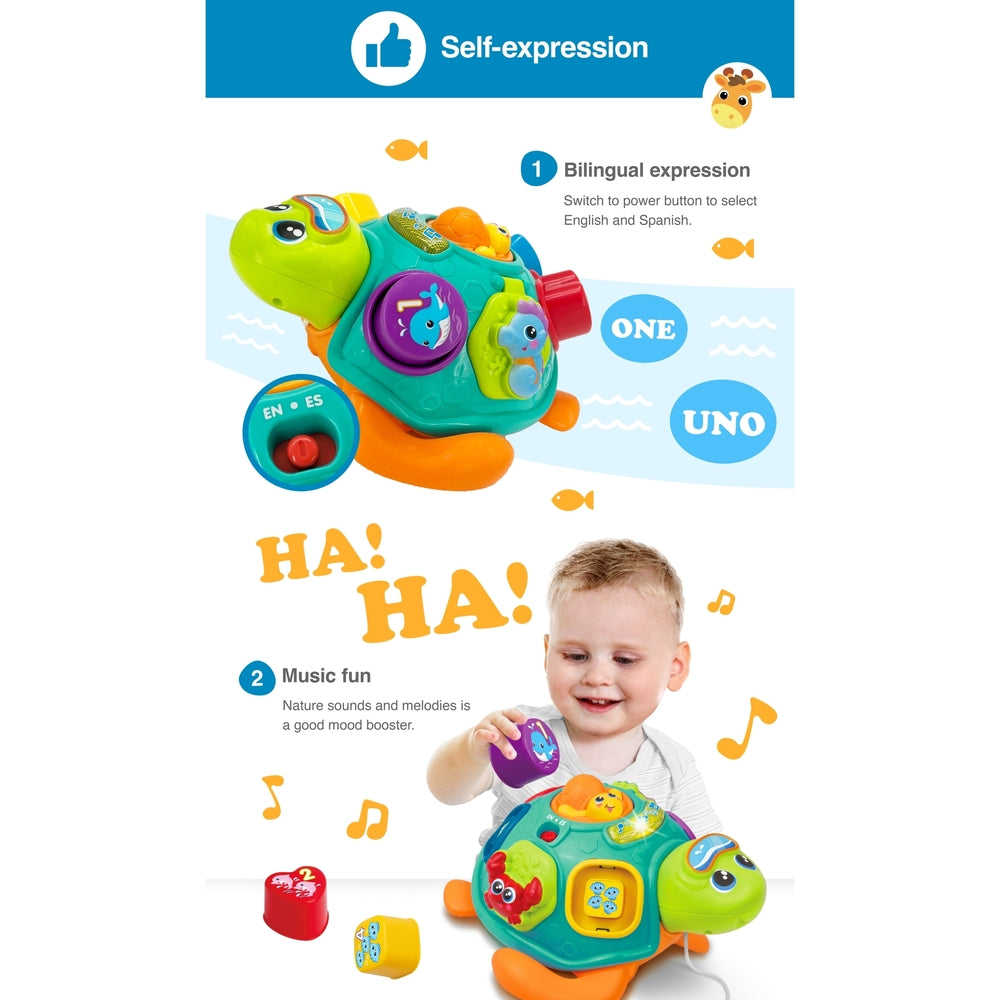 Winfun - Pull Along Sort N Learn Turtle