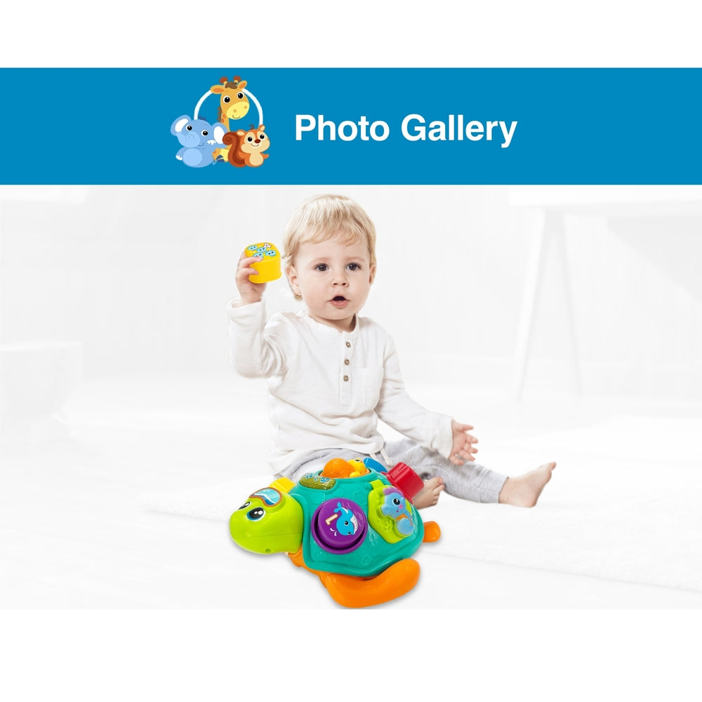 Winfun - Pull Along Sort N Learn Turtle