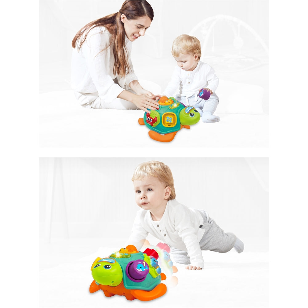 Winfun - Pull Along Sort N Learn Turtle