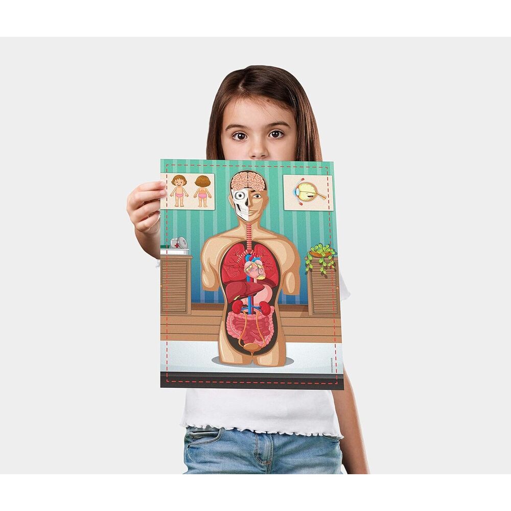 Science4You - Human Body