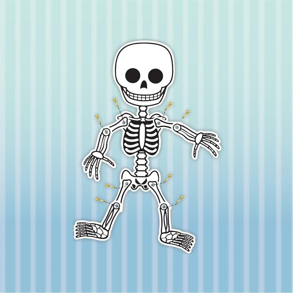 Science4You - Human Body
