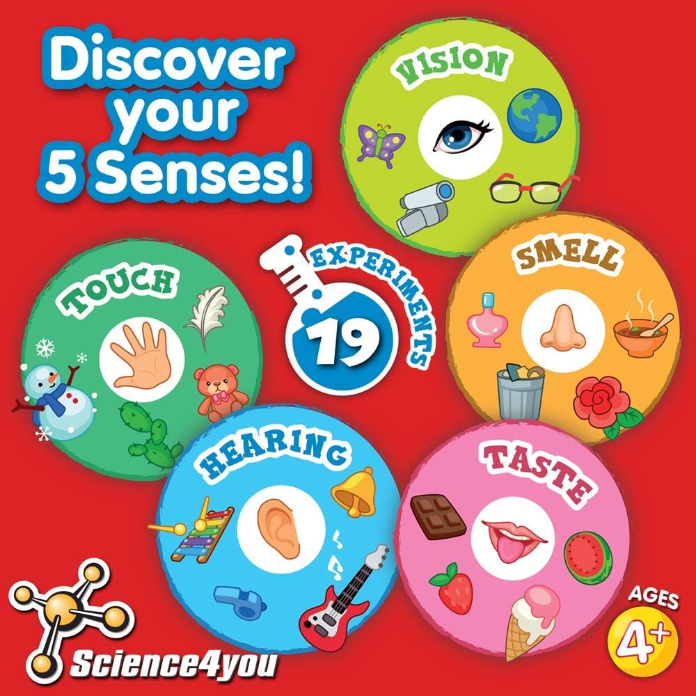 Science4You - 5 Senses