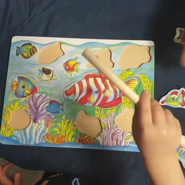 Viga - Magnetic Fishing Puzzle