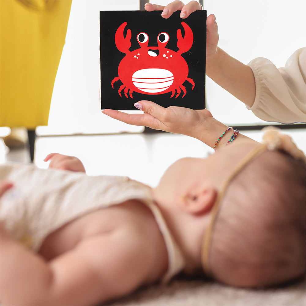 Bimbly - Montessori Box-The Awakening Of Senses 0-6 Months