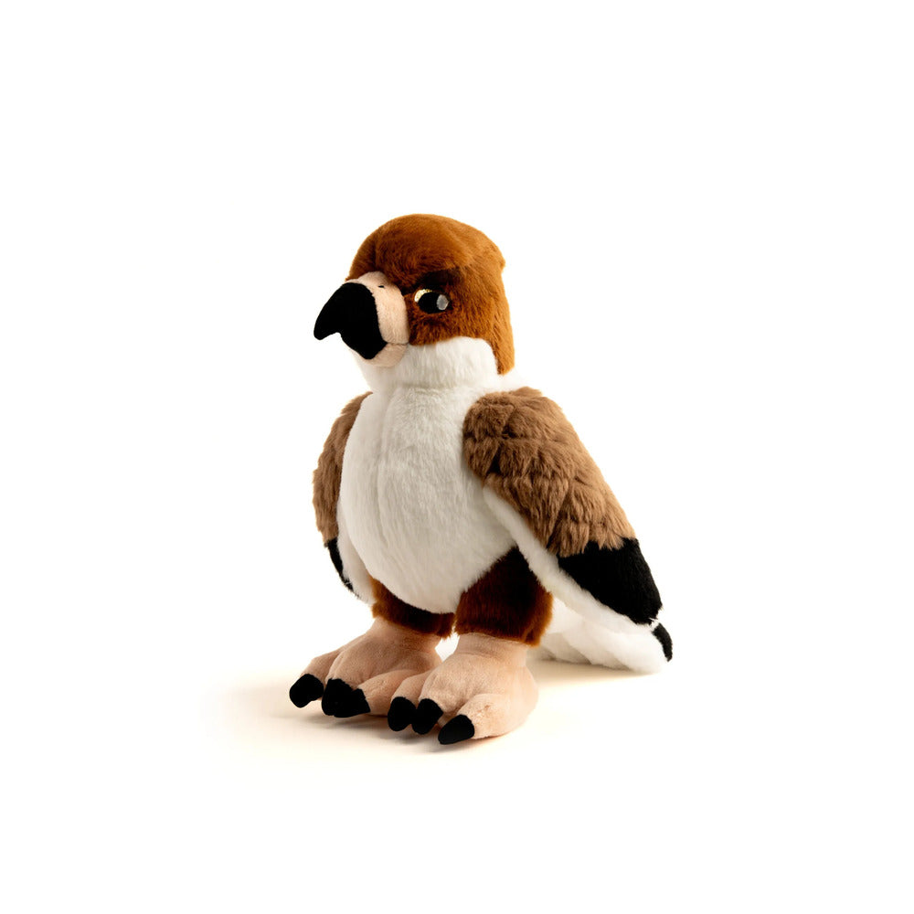 Fluffy Flarm - Jarrah - The Falcon