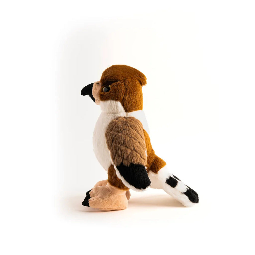 Fluffy Flarm - Jarrah - The Falcon