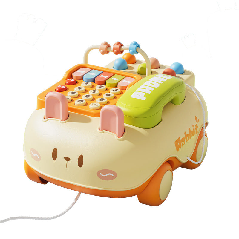 Mobile phone car