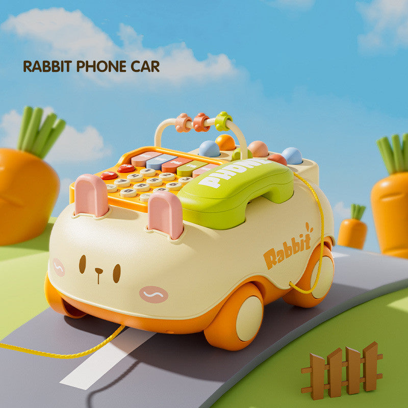 Mobile phone car