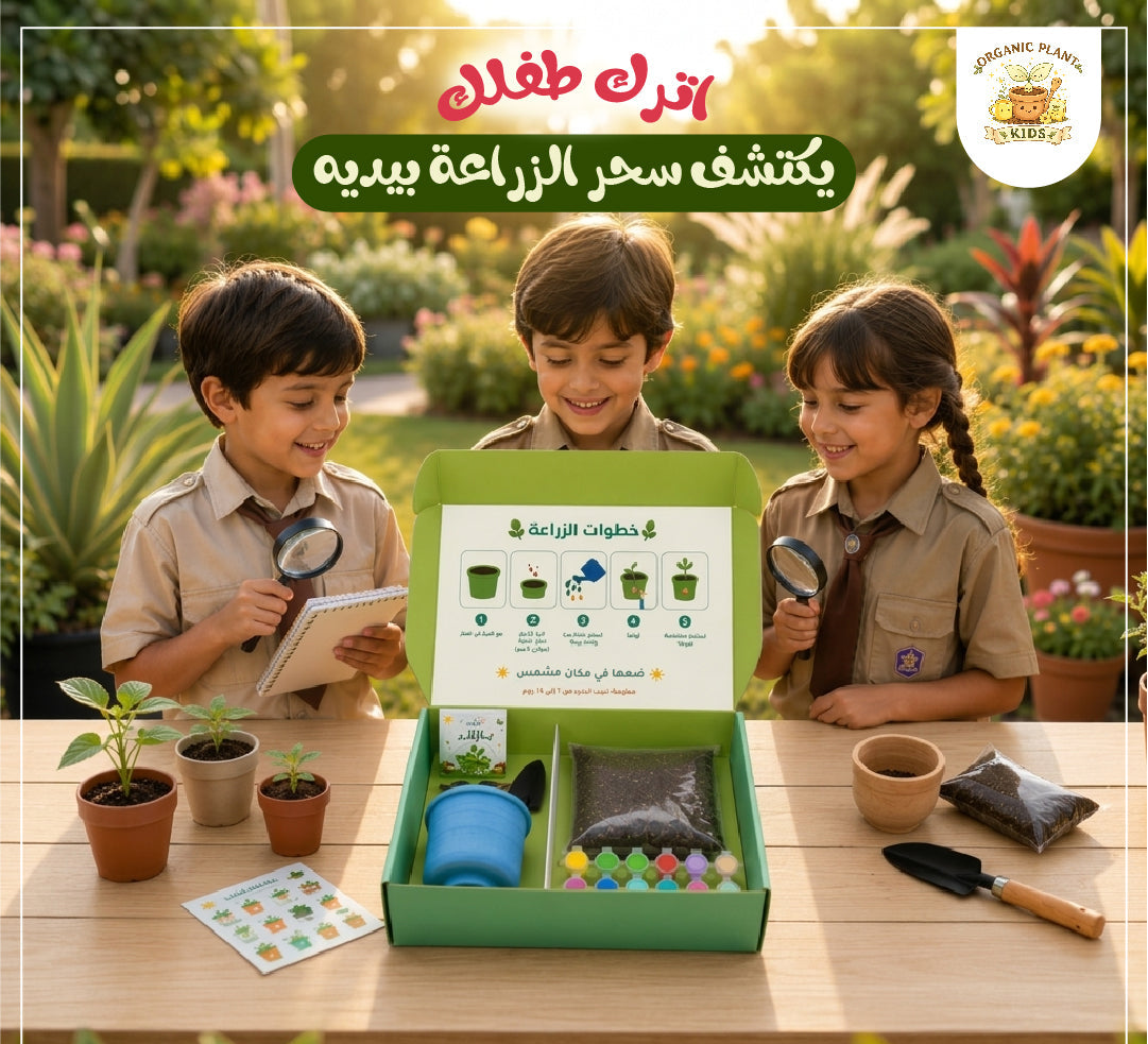 صندوق زراعة تعليمي للأطفال – إبداع وتعلم بالطبيعة