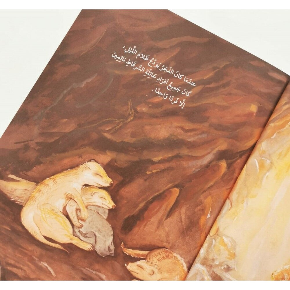 Hzaya Arabic Bookstore - Little Meerkat