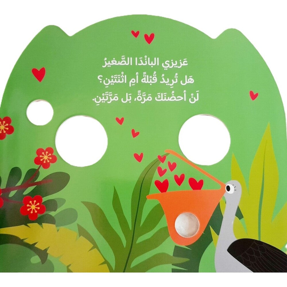 Hzaya Arabic Bookstore - How Do You Feel - Little Panda