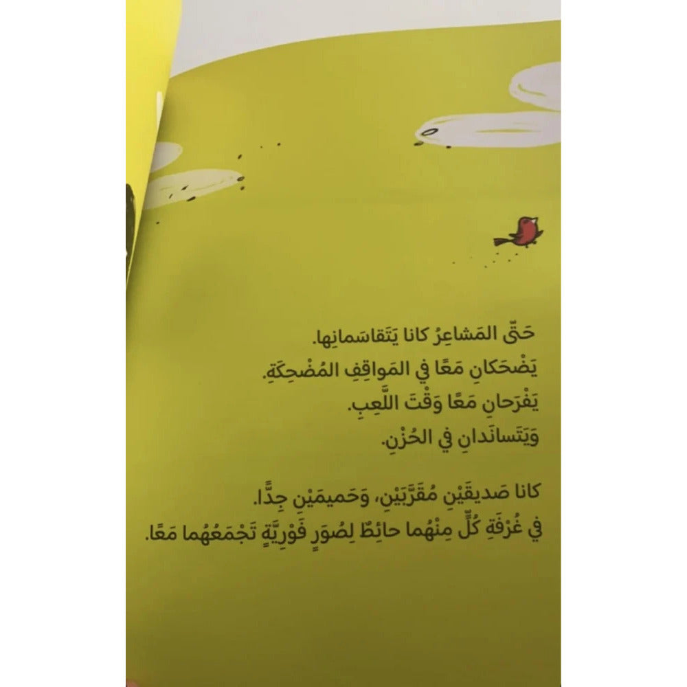 Hzaya Arabic Bookstore - Colored Glasses