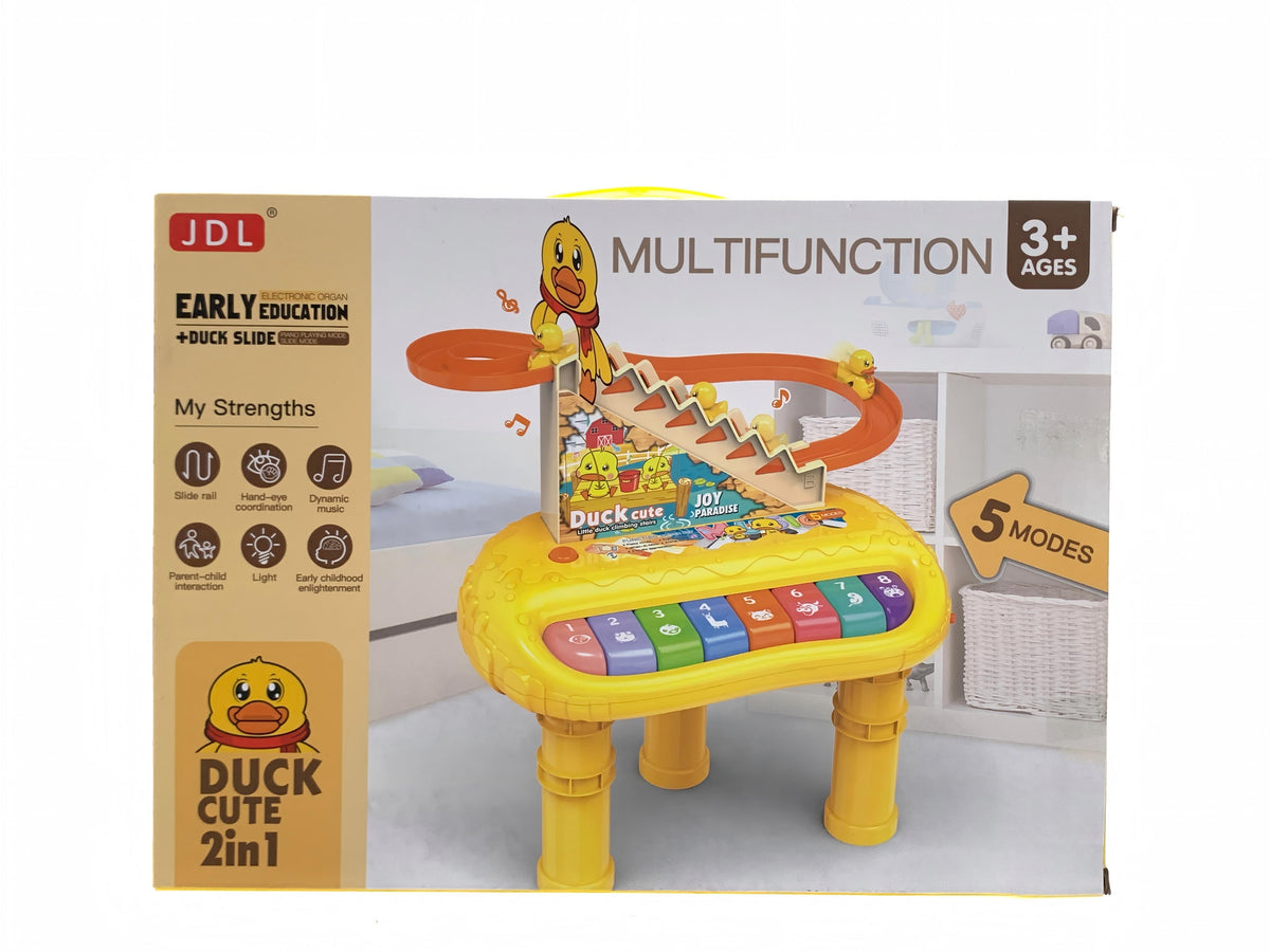 2 in 1 Electronic Organ