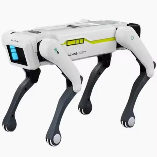 SMART DOG multifunctional toy