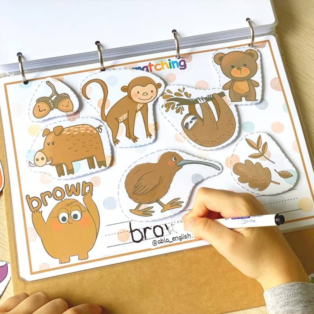 Color Busy Book 18Month+