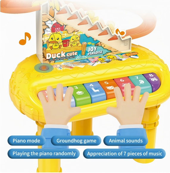 2 in 1 Electronic Organ