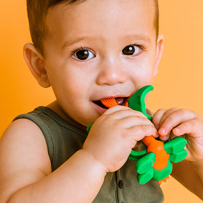 Dragon Training Toothbrush Dragon
