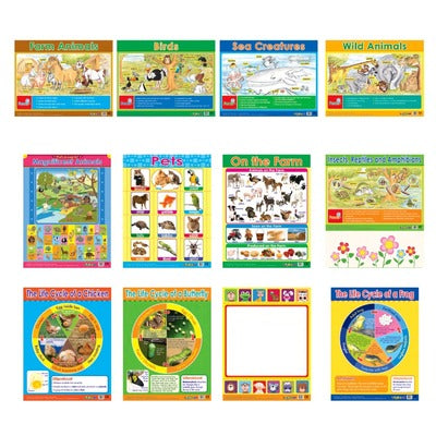Easy 2 Learn Animals & Life Cycles 12 Wall Chart Pack