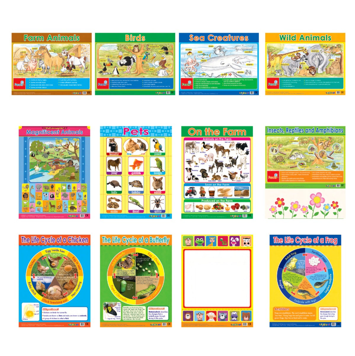 Easy 2 Learn Animals & Life Cycles 12 Wall Chart Pack