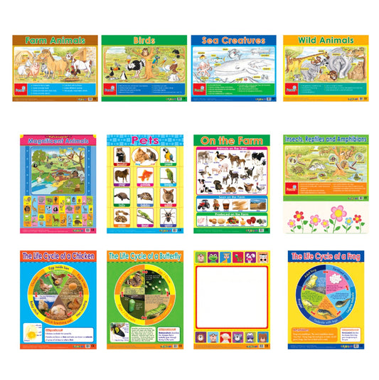 Easy 2 Learn Animals & Life Cycles 12 Wall Chart Pack