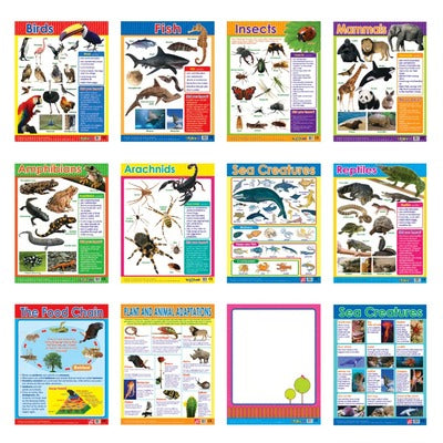 Easy 2 Learn Animal Classification 12 Wall Chart Pack