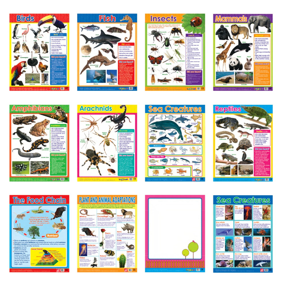 Easy 2 Learn Animal Classification 12 Wall Chart Pack