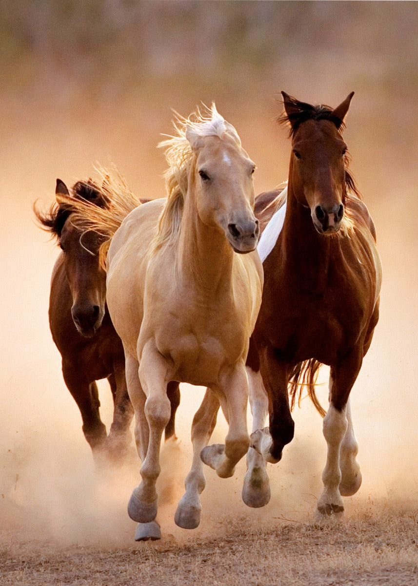 Clementoni Running Horses Hqc 1000 Pcs Puzzle