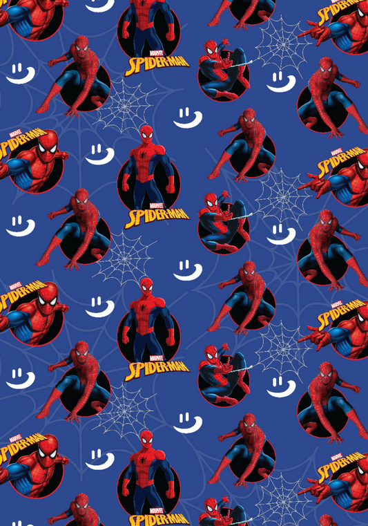 Spiderman 1