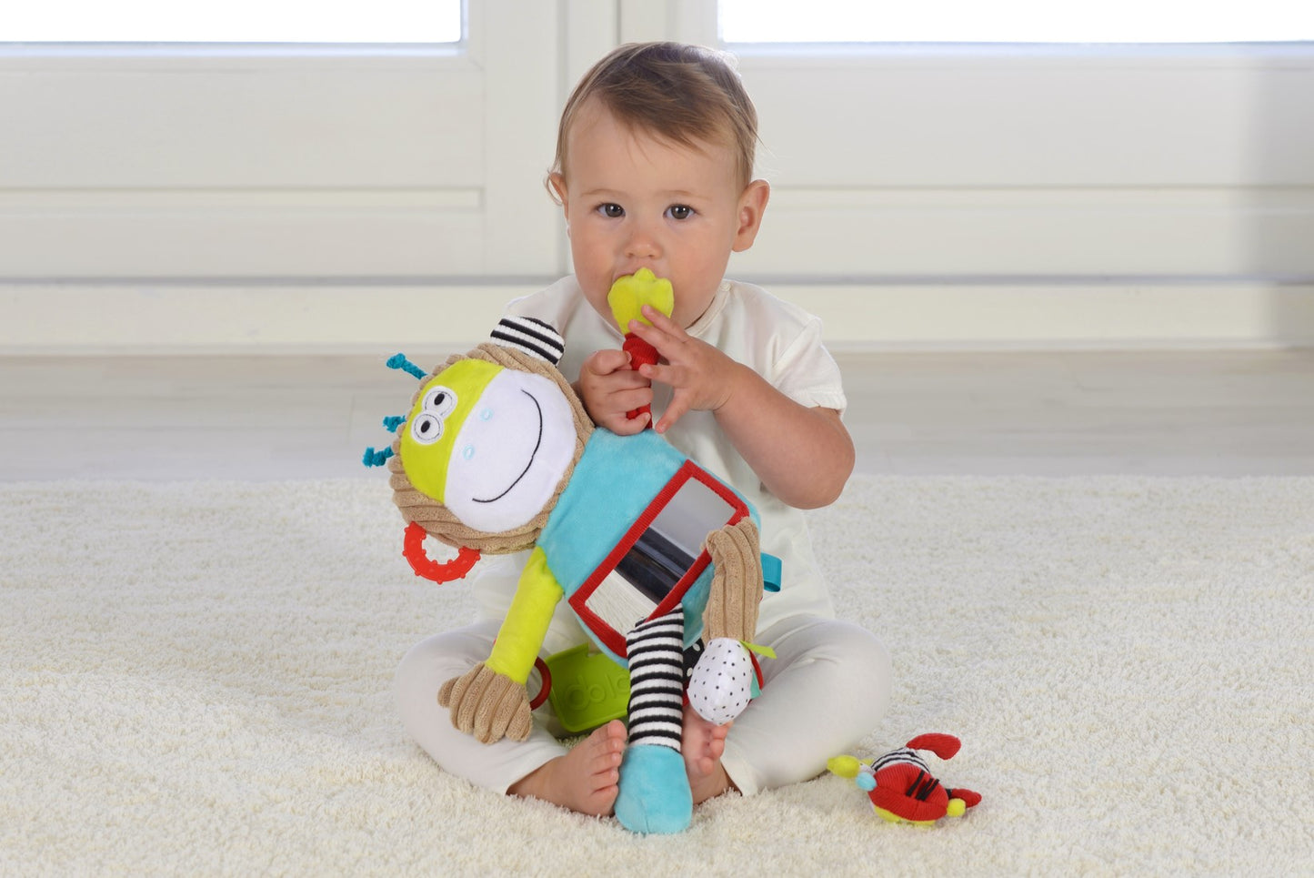 Dolce - Play And Learn Monkey