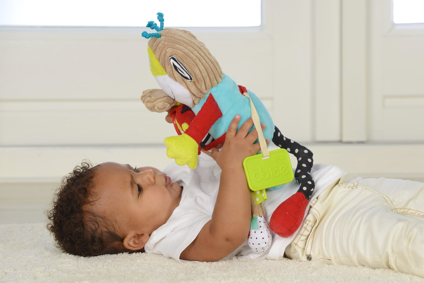 Dolce - Play And Learn Monkey