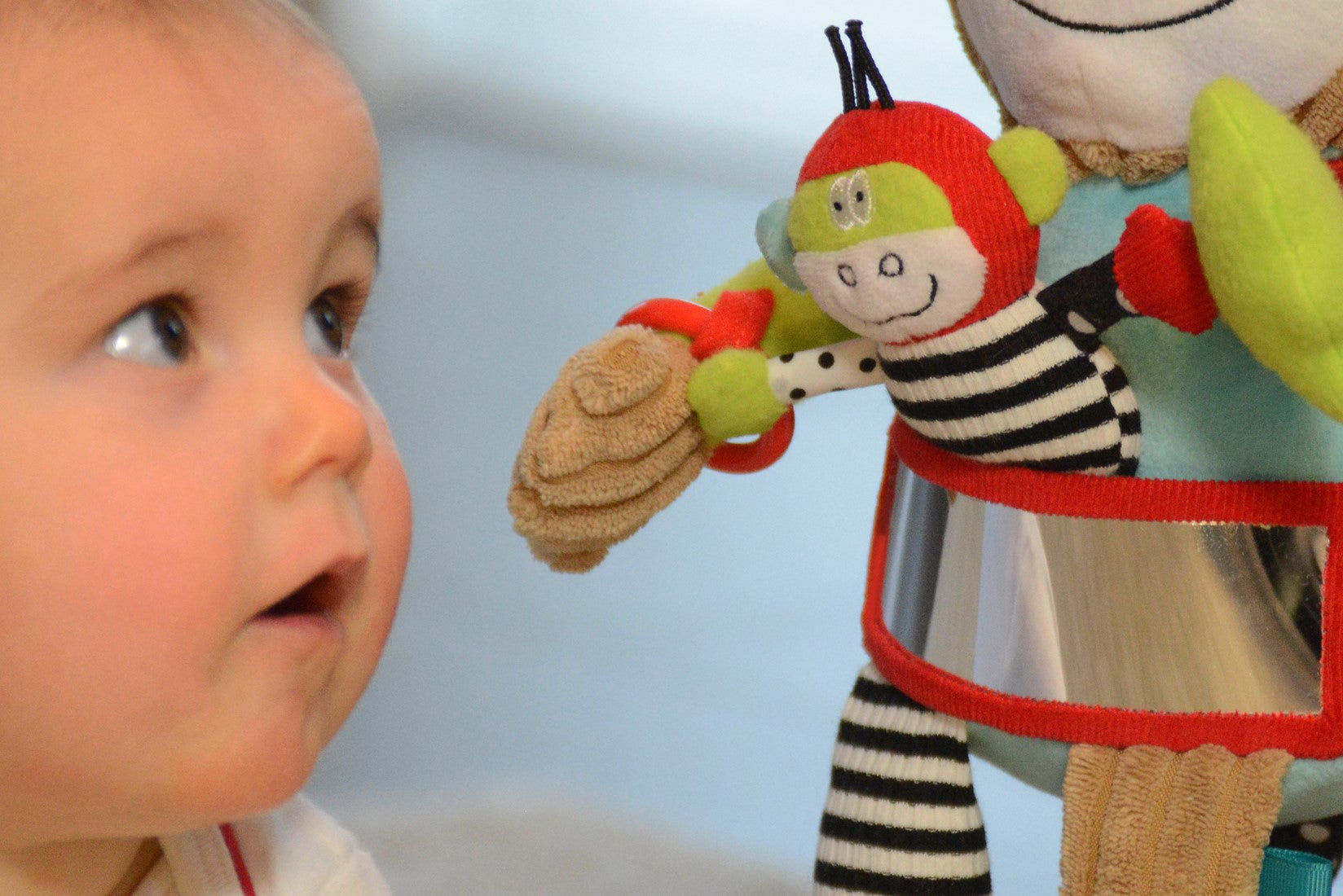 Dolce - Play And Learn Monkey