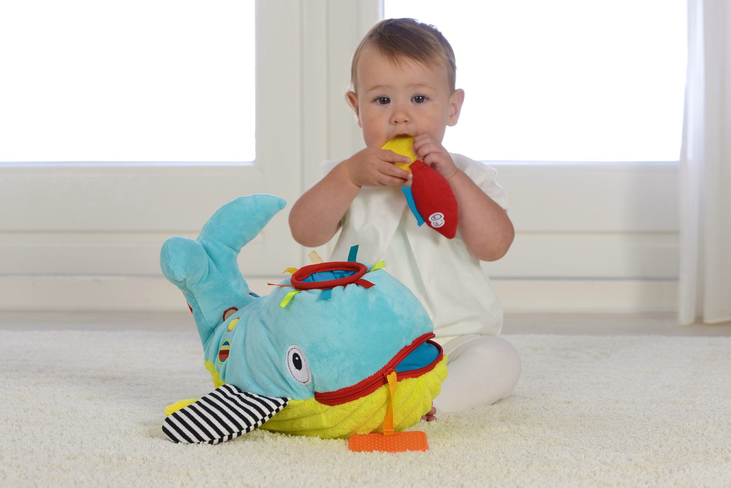 Dolce - Play And Learn Whale