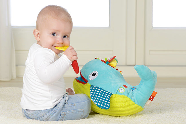 Dolce - Play And Learn Whale