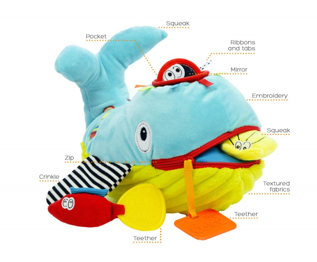 Dolce - Play And Learn Whale