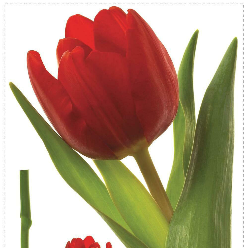 Roommates Tulip Appliques