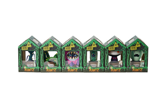 Plantz 8inch 6pcs asstd (S1)