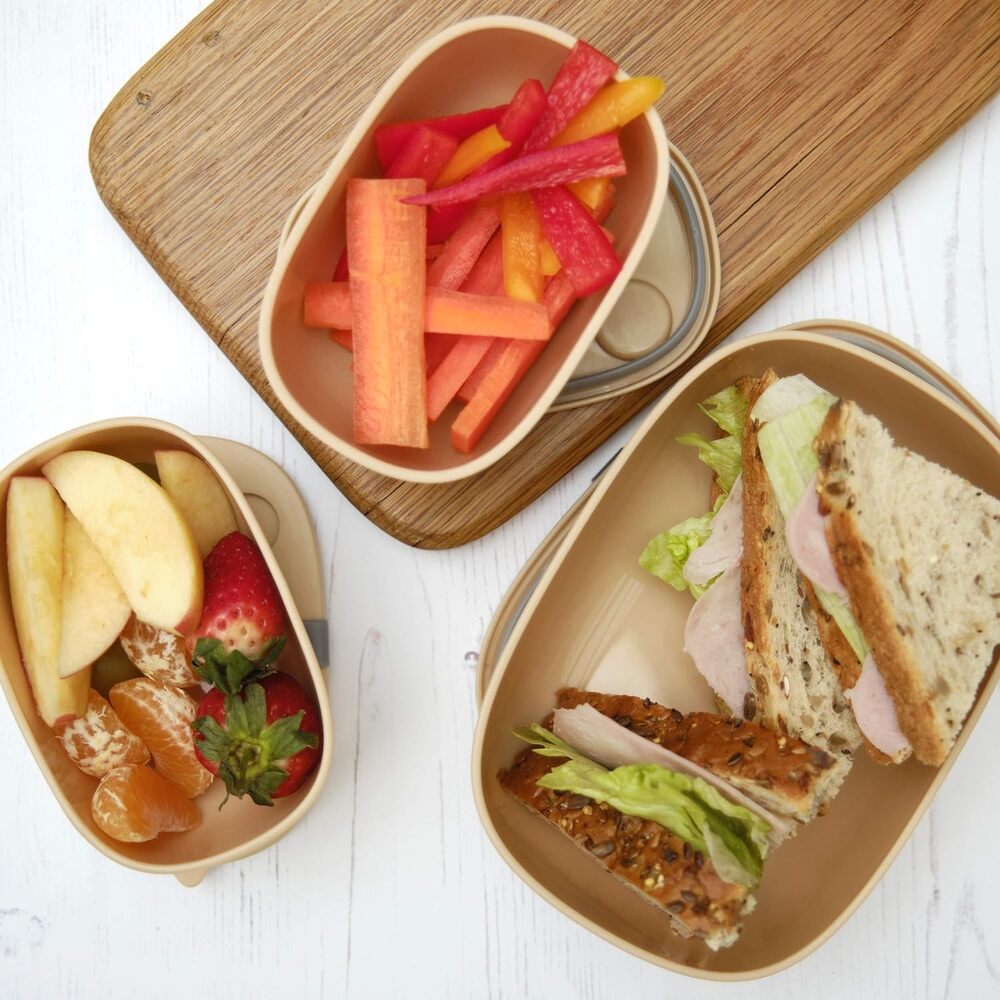 Bentomal Boxes Dog