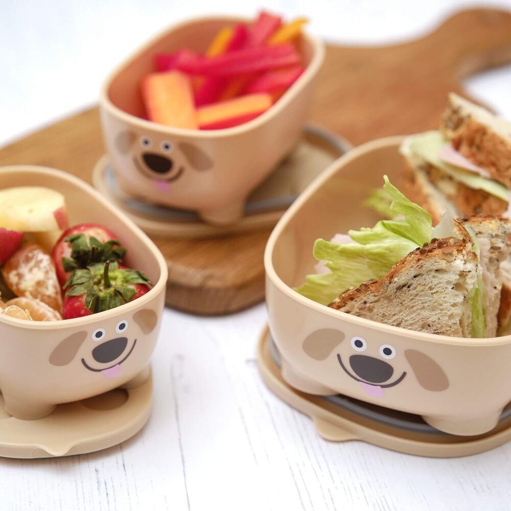 Bentomal Boxes Dog