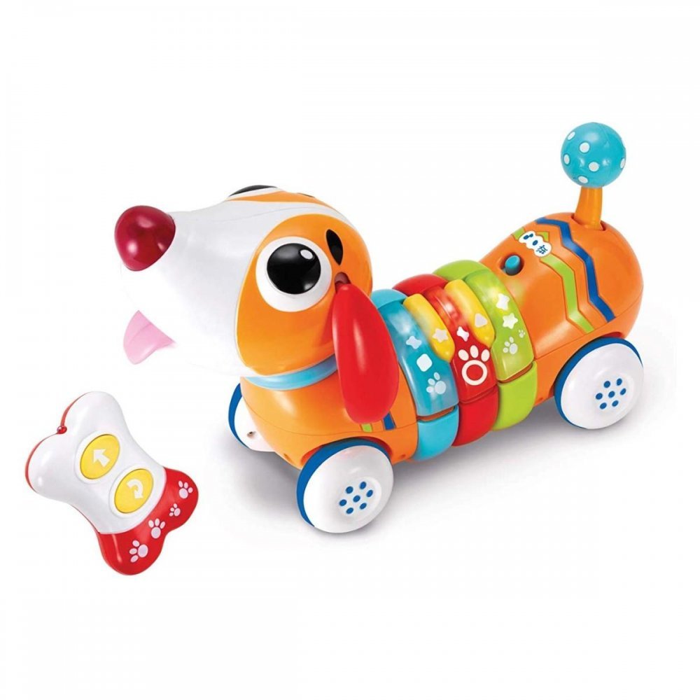 Winfun RC Rainbow Pup