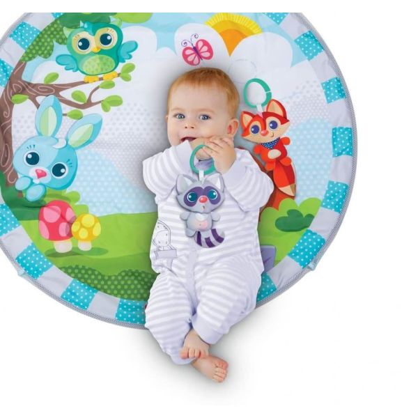 Winfun - Playspace Play Gym And Ball Pit