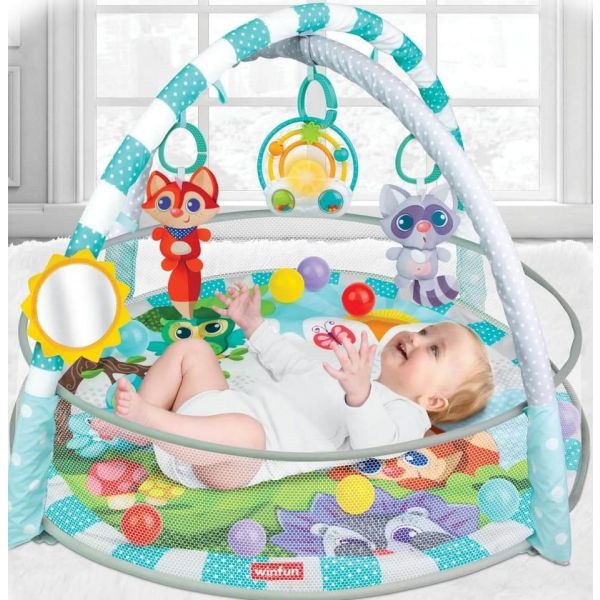 Winfun - Playspace Play Gym And Ball Pit